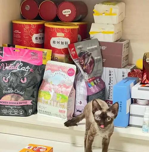 猫零食有必要买吗?哪些值得推荐的?