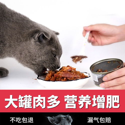 挑对猫罐头，助力猫咪健康成长 补钙、增肥与营养那些事