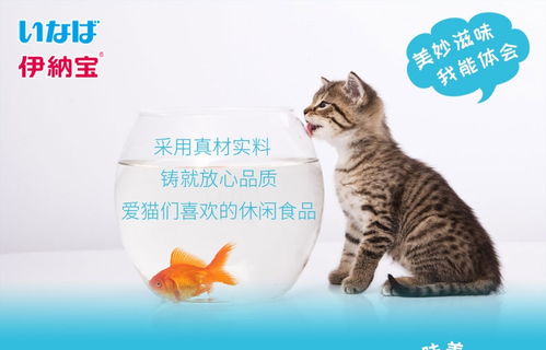 品味鲜汤烤鱼 日本伊纳宝妙好烤鱼多多鱼猫零食测评