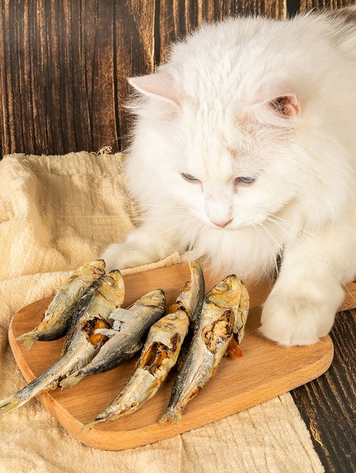 多可特冻干鲱鱼 与您爱猫分享的健康美味零食时光