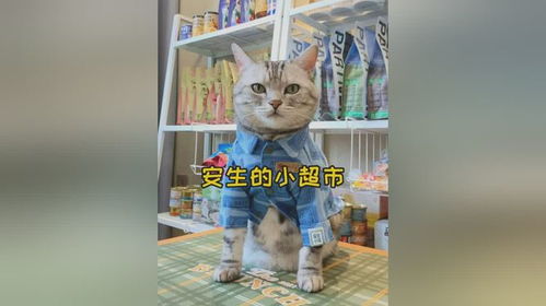 谁懂啊！猫猫都有自己的零食房了