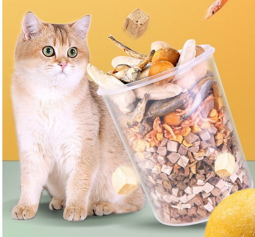 解密猫咪小零食 多种口味助消化 提高抵抗力的饼干秘籍